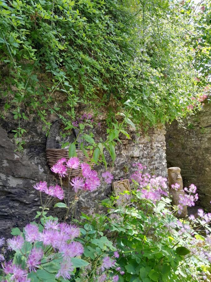 Ferienwohnung The Artist'S Retreat Calstock Exterior foto